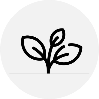 archivos/Celine_Lys-Sustainble_1cd09278-f3b5-4034-b4b6-b86d386cf967.png